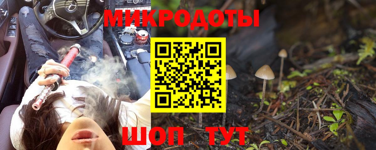 Псилоцибиновые грибы Cubensis Узловая